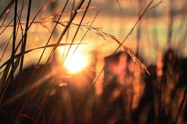 The Truth About Illness and Healing