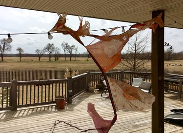 The Wind