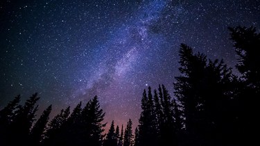 Feel the Galaxy with Samiksa Love's 'Galactic Bells'
