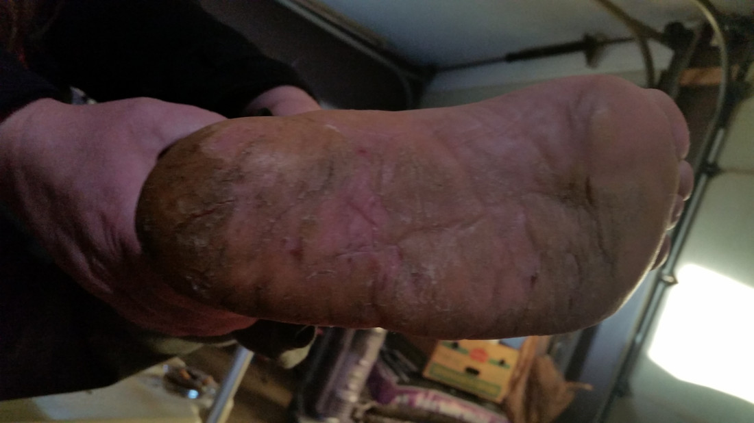 Surrogate Session Success 1