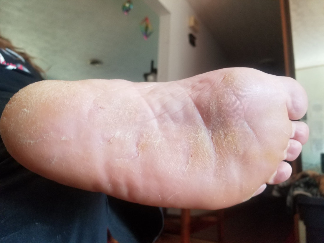 Surrogate Session Success 6