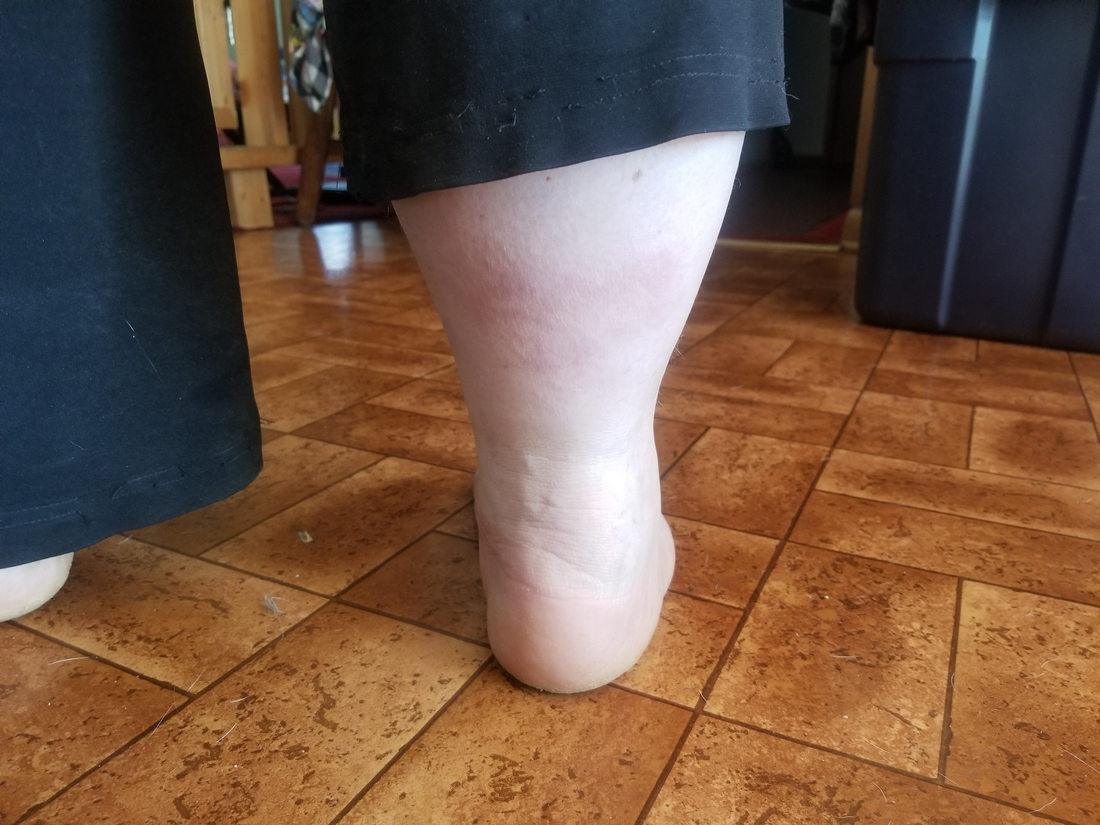 Surrogate Session Success 7
