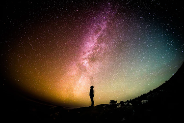 What is Consciousness?